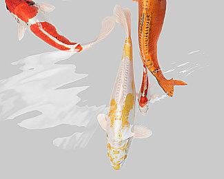 《塞尔达传说：智慧的再现》漏洞让玩家可以用林克通关